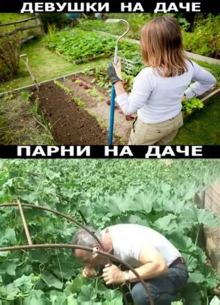 Девушки и парни на даче