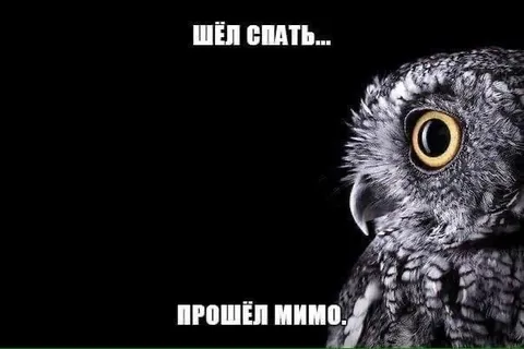 Шёл спать, прошёл мимо
