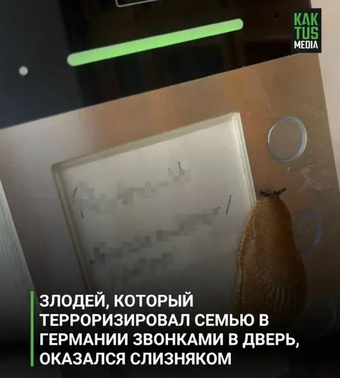 Злодей оказался слизняком