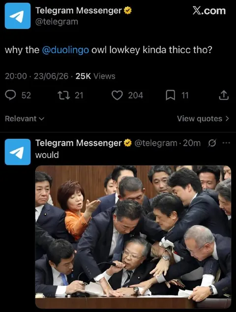 Duolingo Owl Would Meme