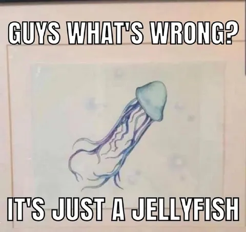 Guys What's Wrong Jellyfish