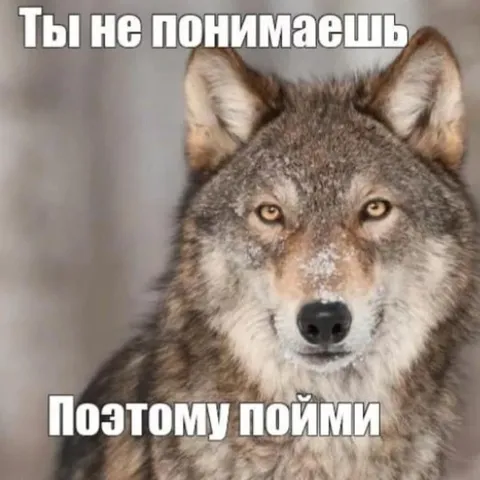 Ты не понимаешь, поэтому пойми
