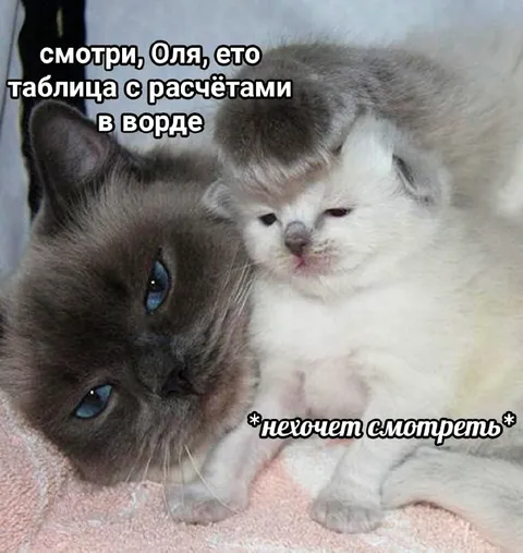 Таблица с расчётами в ворде
