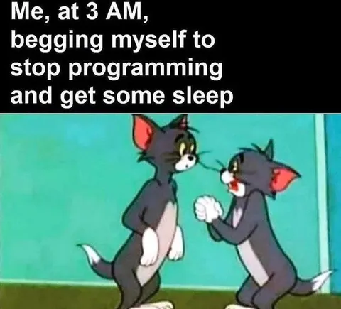 Tom and Jerry Coding at 3 AM