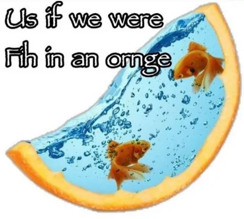 Fish in an Orange