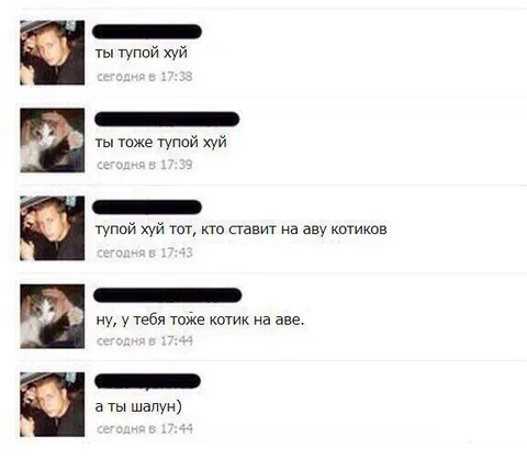 Котик на аватарке