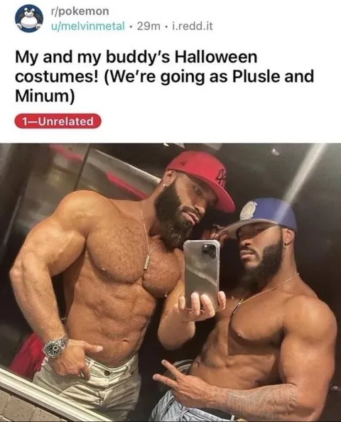 Plusle and Minun Halloween Costumes