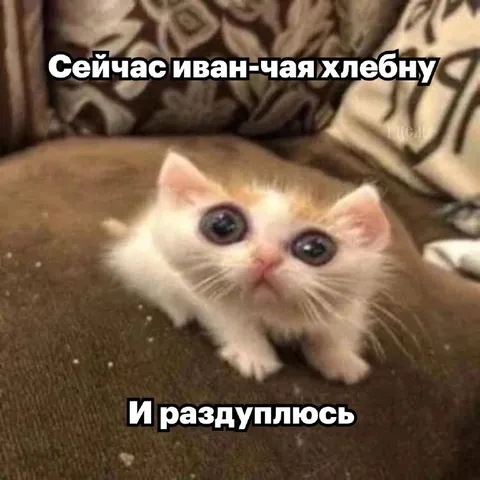 Иван-чай и раздупление