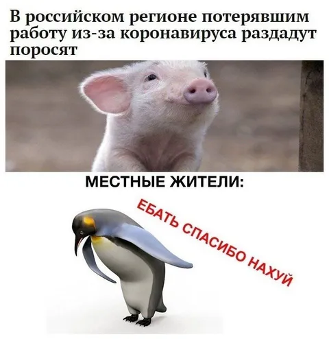 Поросята для безработных россиян