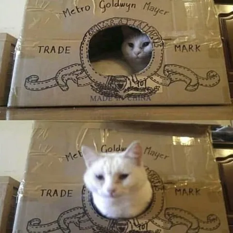 Cat Replaces the MGM Lion
