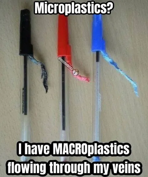 Macroplastics Flowing Through My Veins