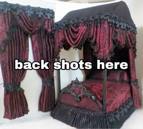 Back Shots Here Curtain Bed