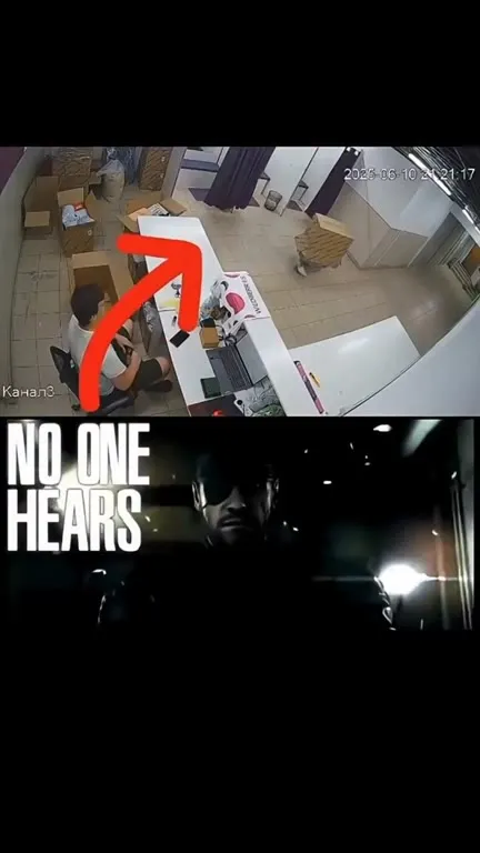 No One Hears the Moving Box