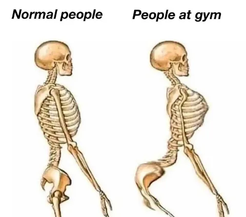 Normal People vs People at Gym