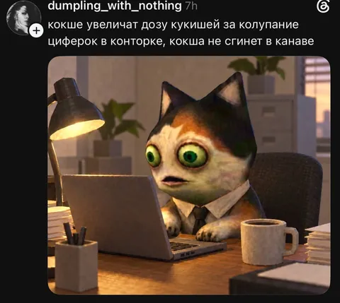 Кот за ноутбуком в конторке