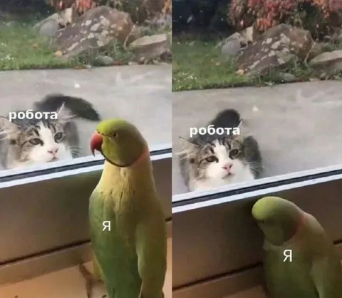 Робота і я