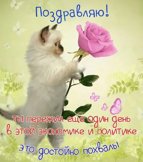 Поздравляю с выживанием