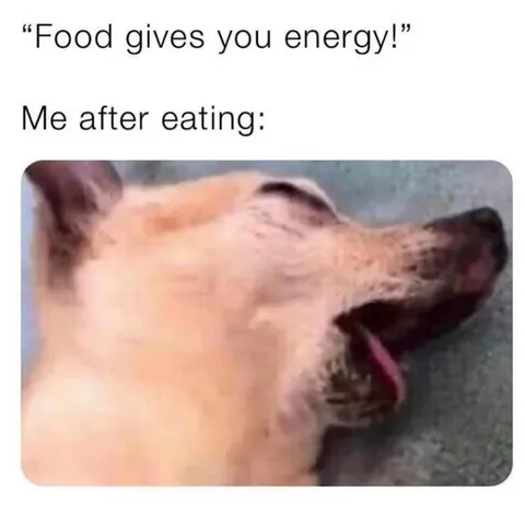 Food Gives You Energy