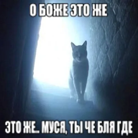 Это же Муся, ты чё блять