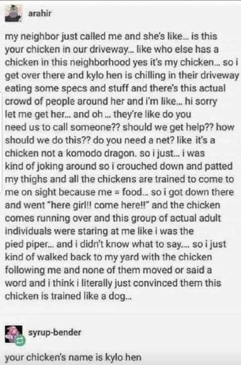 Kylo Hen Comes When Called