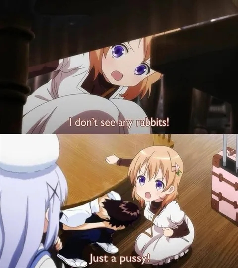 I Don’t See Any Rabbits