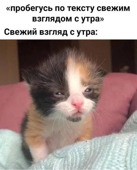 Свежий взгляд с утра
