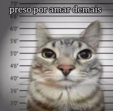 Preso por amar demais