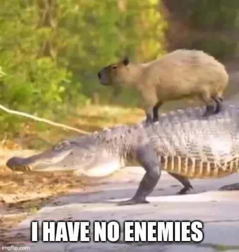 Capybara Has No Enemies