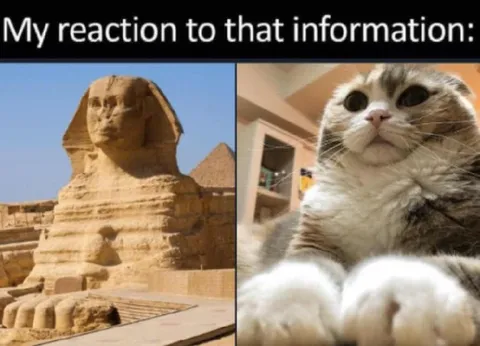 My Reaction to That Information