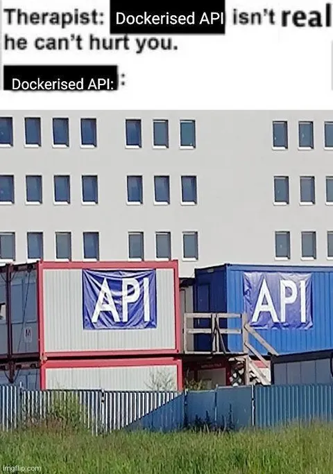 Dockerised API Isn't Real