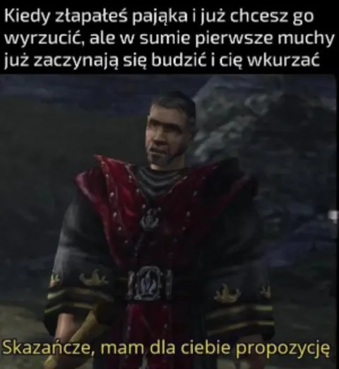 Pająk kontra budzące się muchy