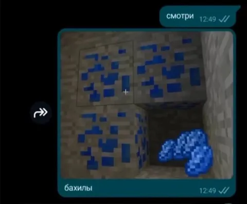 Смотри, бахилы в Minecraft