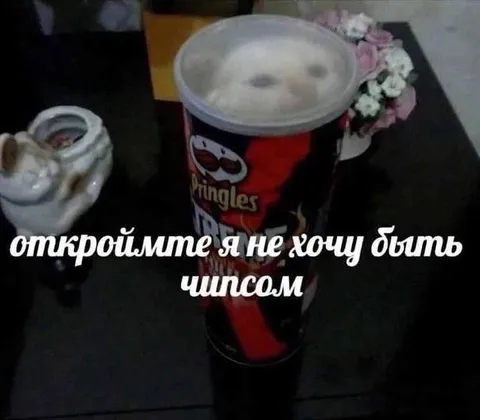 Не хочу быть чипсом