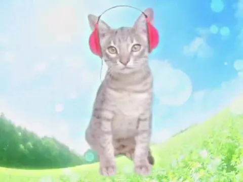 Котики в наушниках под ностальгию