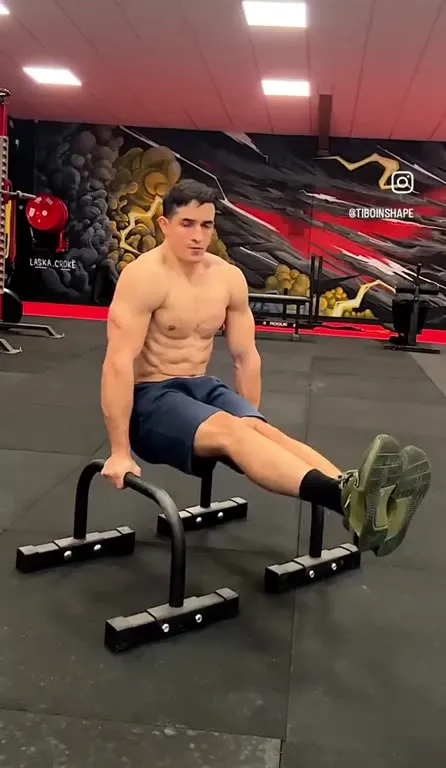 Кот и тренировка на брусьях