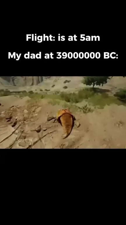 Dad's 39000000 BC Flight
