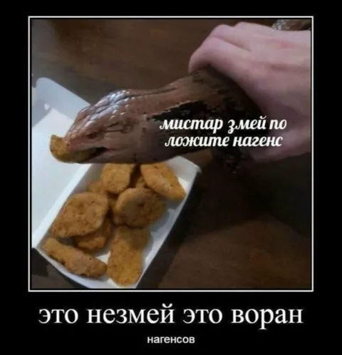 Мистар змей и нагэнс