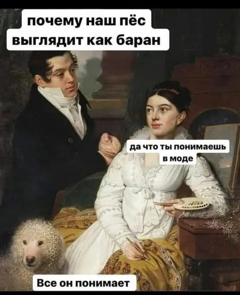 Почему наш пёс выглядит как баран
