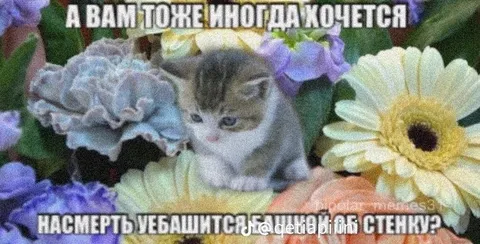 Хочется убиться об стенку