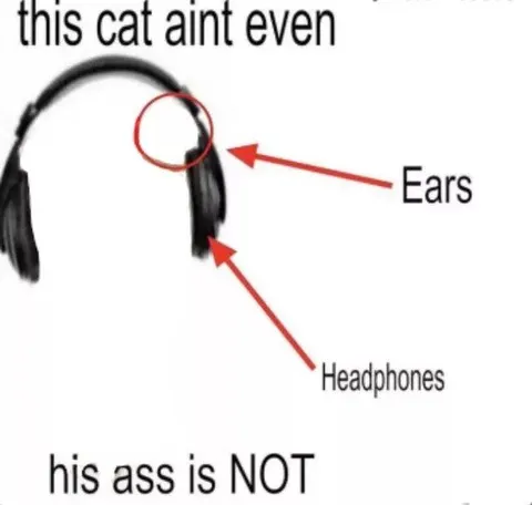 This Cat Ain't Even Wearing Headphones