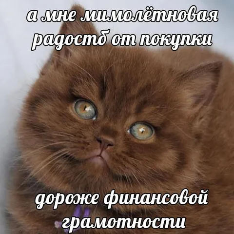 Радость от покупки дороже грамотности