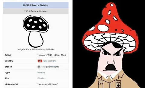 The Mushroom Division