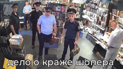 Дело о краже шопера