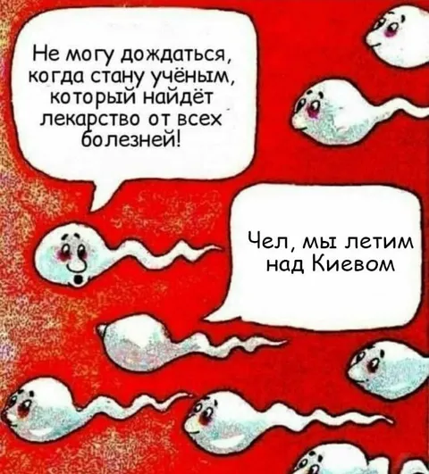 Мы летим над Киевом