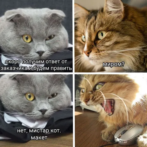 Правки от заказчика