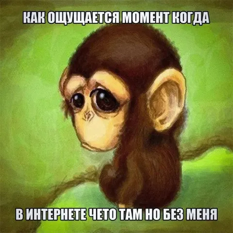 Обезьяна без меня в интернете