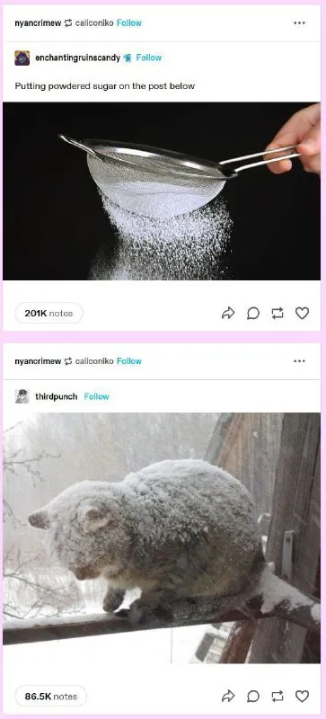 Putting Powdered Sugar on the Post Below