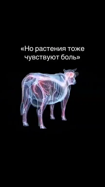 Растения тоже чувствуют боль