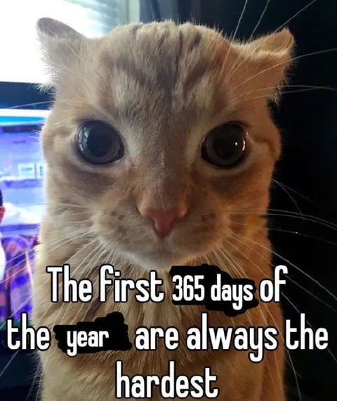 First 365 Days Are Hardest