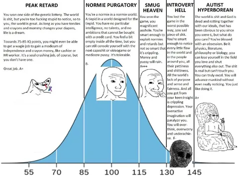 The Five Levels of Intelligence